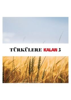 Türkülere Kalan 3 - Çeşitli Sanatçılar (2 CD)