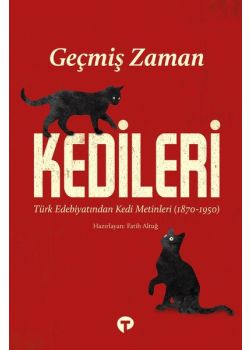 Geçmiş Zaman Kedileri