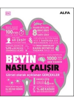 Beyin Nasıl Çalışır 