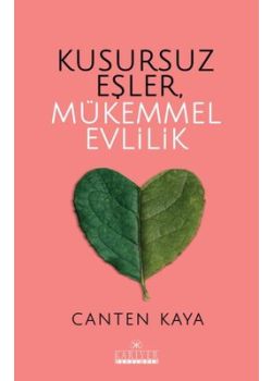 Kusursuz Eşler, Mükemmel Evlilik