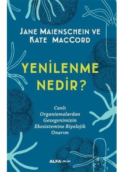 Yenilenme Nedir?