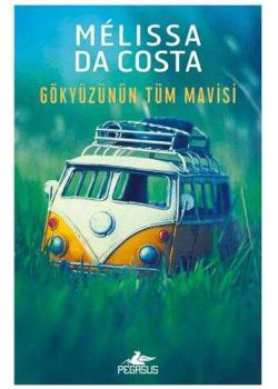 Gökyüzünün Tüm Mavisi