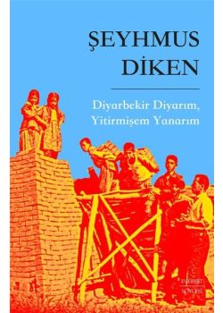 Diyarbekir Diyarım, Yitirmişem Yanarım