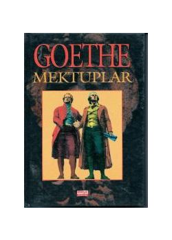 Goethe'nin Mektupları: Bir Dehanın Ruhuna Yolculuk
