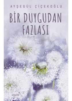 Bir Duygudan Fazlası