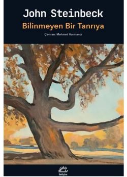 Bilinmeyen Bir Tanrıya