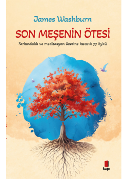 Son Meşenin Ötesi - Farkındalık ve Meditasyon Üzerine Kısacık 77 Öykü 
