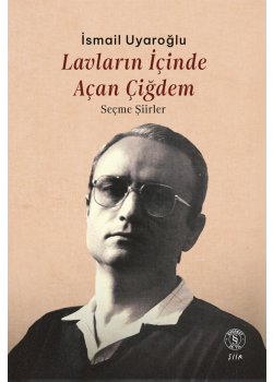 Lavların İçinde Açan Çiğdem