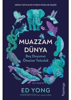 Muazzam Dünya: Beş Duyunun Ötesine Yolculuk