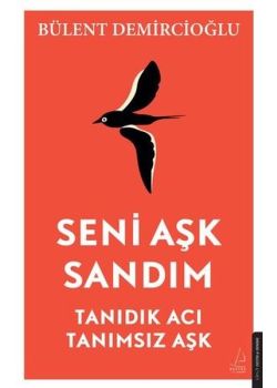 Seni Aşk Sandım - Tanıdık Acı Tanımsız Aşk