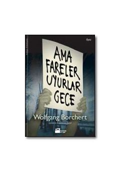 Ama Fareler Uyurlar Gece