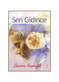 Sen Gidince