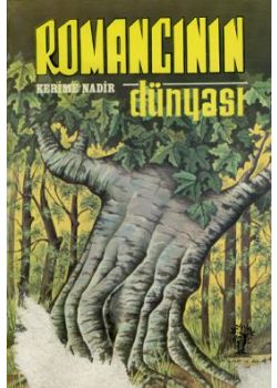 Romancinin Dünyasi