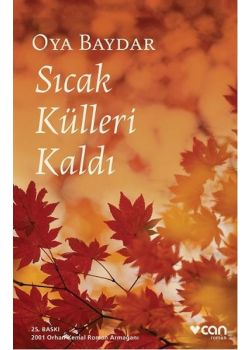 Sıcak Külleri Kaldı