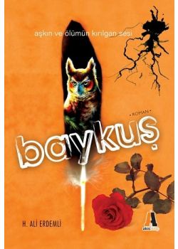 Baykuş H. Ali Erdemli