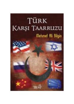 Türk Karşı Taarruzu
