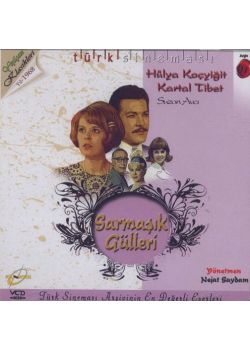 Sarmaşık Gülleri Hülya Kocyigit