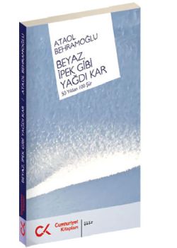 Beyaz İpek Gibi Yağdı Kar