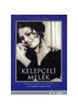 Kelepçeli Melek Türkan Soray, Ediz Hun