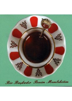 Bir Başkadır Benim Memleketim Degisik Versiyon