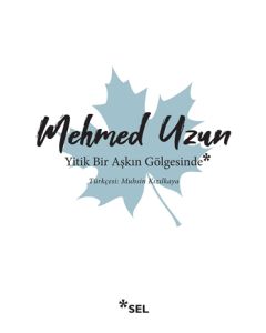 Yitik Bir Aşkın Gölgesinde