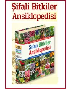 Şifalı Bitkiler  Ansiklopedisi  Hangi Hastalıklara  Hangi Bitki Iyi Gelir?