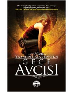 Gece Avcısı