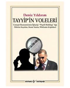Tayyip'in Voleleri