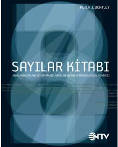 Sayılar Kitabı