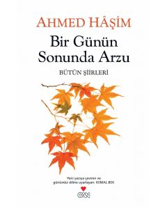 Bir Günün Sonunda Arzu