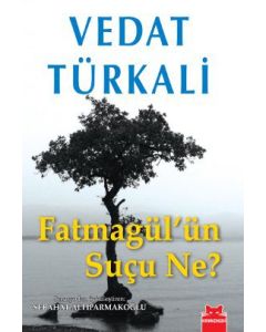 Fatmagül'ün Suçu Ne?