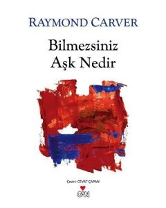 Bilmezsiniz Aşk Nedir