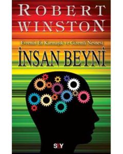 İnsan Beyni  Evrenin En Karmaşık ve Gizemli Nesnesi