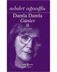 Damla Damla Günler - 2 (1977-1983)