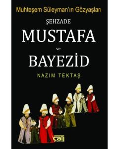 Şehzade Mustafa ve Bayezid