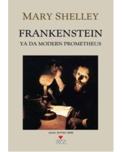 Frankenstein  Ya Da Modern Prometheus