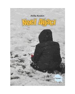 Noel Ağacı