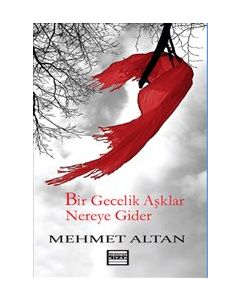 Bir Gecelik Aşklar Nereye Gider