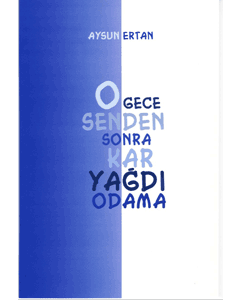 O Gece Senden Sonra Kar Yağdı Odama