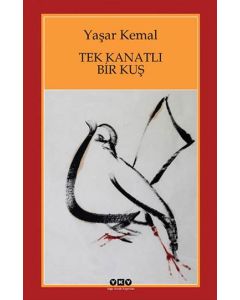 Tek Kanatlı Bir Kuş 1960'lı yılların Anadolusu
