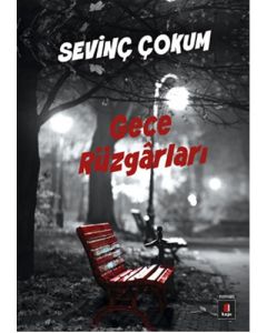 Gece Rüzgarları