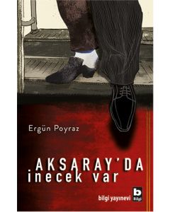 Aksaray'da İnecek Var