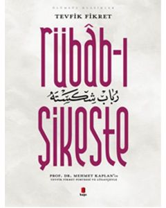 Rübab-ı Şikeste