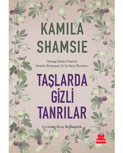 Taşlarda Gizli Tanrılar