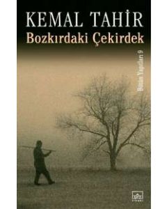 Bozkirdaki Çekirdek