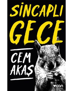 Sincaplı Gece