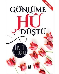 Gönlüme Hu Düştü