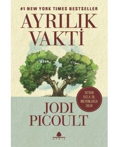 Ayrılık Vakti