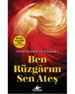Ben Rüzgarım Sen Ateş