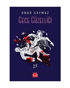 Gece Güzelliği